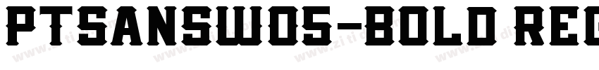 PTSansWO5-Bold Regul字体转换